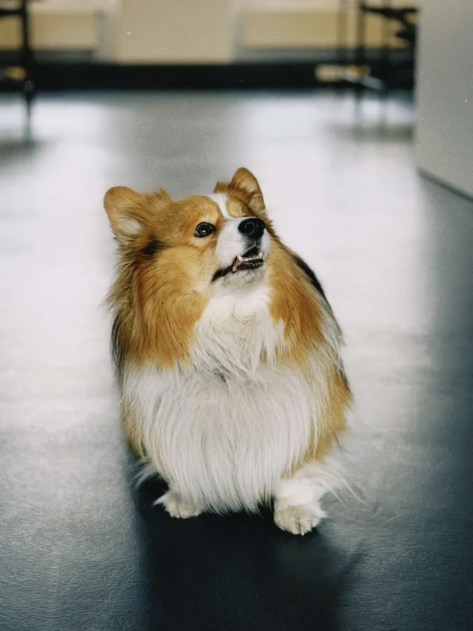 Oskar